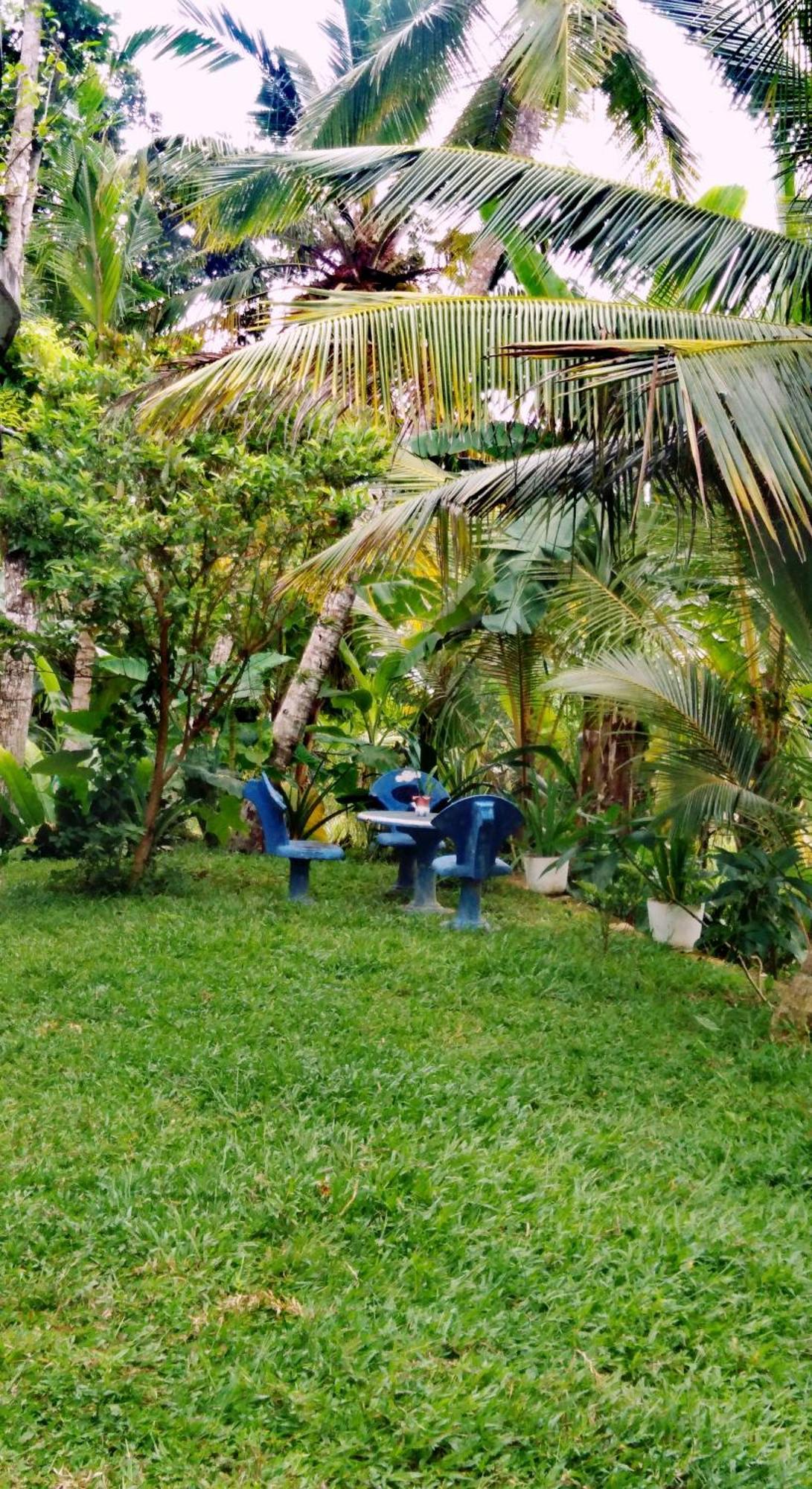 Field Island Villa - Ahangama Exterior foto